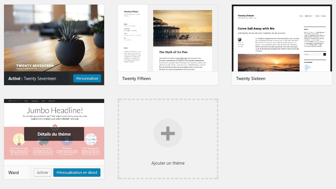 theme wordpress